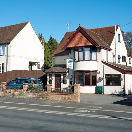 Conifers Guest House Oxford Buitenkant foto